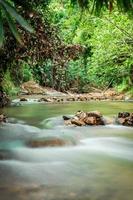 small stream in green forest  Yala Thailand