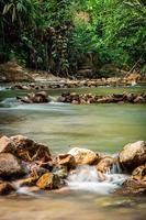 small stream in green forest  Yala Thailand photo