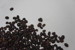 White isolated coffee bean background photo