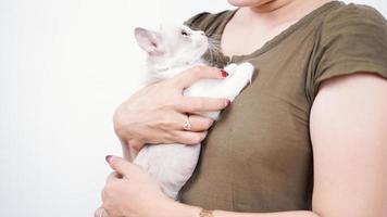 mujer asiática sosteniendo gato riendo aislado fondo blanco foto