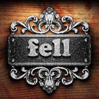 fell word of iron on wooden background photo