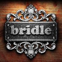 bridle word of iron on wooden background photo