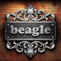 beagle word of iron on wooden background photo