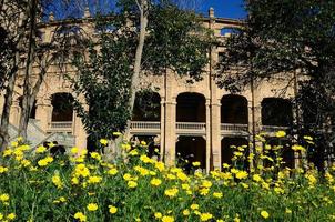 old antique stadium with flowers photo