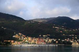 many boats and colorful houses photo