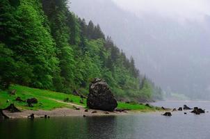 rocks and forest near lake photo