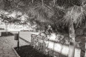 balnearios y playas con tumbonas y sombrillas kos grecia. foto