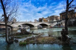 Small islets, and plants in the river Tiber in Rome photo