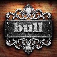 bull word of iron on wooden background photo