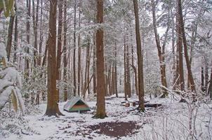 Campsite in the snow photo