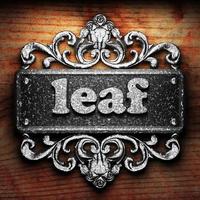 leaf word of iron on wooden background photo