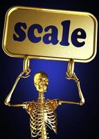 scale word and golden skeleton photo