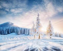 Mysterious winter landscape majestic mountains in winter. Magical winter snow covered tree. Photo greeting card. Bokeh light effect, soft filter.