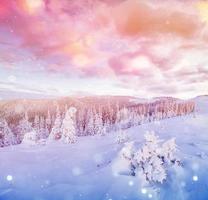 Mysterious winter landscape majestic mountains in winter. Magical winter snow covered tree. Photo greeting card. Bokeh light effect, soft filter.