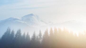 la niebla matutina se arrastra con restos sobre el bosque montañoso otoñal cubierto de hojas doradas. picos nevados de montañas majestuosas en el fondo foto