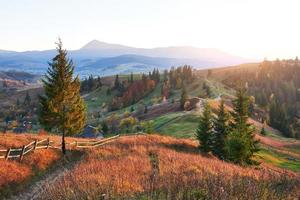 Amazing autumn morning scenery in mountains with meadow and colorful trees on foreground and fog underfoot. National Natural Park Synevyr, Carpathian Mountains, Ukraine. Beautiful autumn background photo