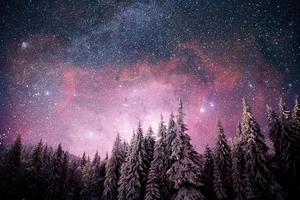 árbol mágico cubierto de nieve de invierno. paisaje de invierno el lago de invierno está congelado en el frente foto