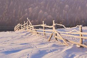 winter landscape trees and fence in hoarfrost, background with some soft highlights and snow flakes photo