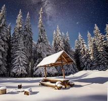 árbol mágico de invierno cubierto de nieve foto