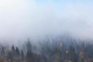 hermosa niebla matutina y rayos de sol en la ladera de la montaña en el bosque de pinos de otoño