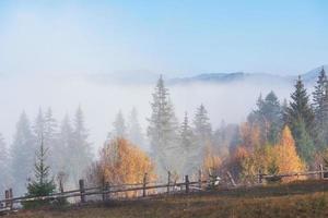 Morning fog creeps with scraps over autumn mountain forest covered in gold leaves photo