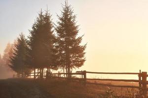 Autumn fog and the beautiful morning sun in a landscape photo