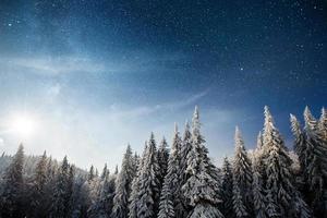 árbol mágico cubierto de nieve de invierno. paisaje de invierno el lago de invierno está congelado en el frente foto