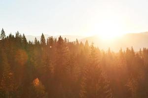 Beautiful autumn morning on the view point above the deep forest valley in Carpathians, Ukraine, Europe photo