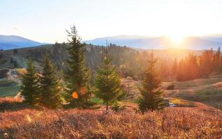 Amazing autumn morning scenery in mountains with meadow and colorful trees on foreground and fog underfoot. National Natural Park Synevyr, Carpathian Mountains, Ukraine. Beautiful autumn background photo