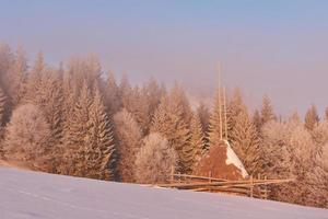 winter landscape trees and fence in hoarfrost, background with some soft highlights and snow flakes photo