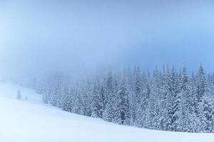 Fantastic winter landscape. On the eve of the holiday. The dramatic scene. Carpathian, Ukraine, Europe. Happy New Year photo