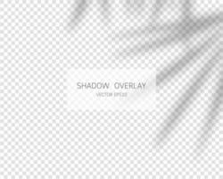 Shadow overlay effect. Natural shadows isolated on transparent background. Vector illustration.