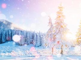 Mysterious winter landscape majestic mountains in winter. Magical winter snow covered tree. Photo greeting card. Bokeh light effect, soft filter.