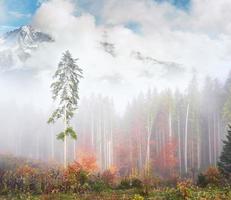 la niebla matutina se arrastra con restos sobre el bosque montañoso otoñal cubierto de hojas doradas. picos nevados de montañas majestuosas en el fondo foto