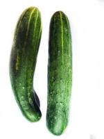 Photo isolated two cucumbers white background