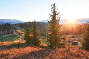 Amazing autumn morning scenery in mountains with meadow and colorful trees on foreground and fog underfoot. National Natural Park Synevyr, Carpathian Mountains, Ukraine. Beautiful autumn background photo