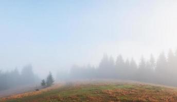 Morning fog creeps with scraps over autumn mountain forest covered in gold leaves photo