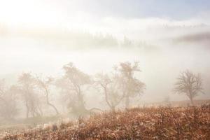 Autumn fog and the beautiful morning sun in a landscape photo
