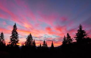 cielo majestuoso, nube rosa contra las siluetas de pinos en el crepúsculo. cárpatos, ucrania, europa. descubre el mundo de la belleza foto