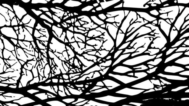 textura vectorial agrietada rústica con muchas grietas y arañazos. fondo abstracto. superficie rota y dañada. telón de fondo envejecido. vector