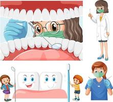 Set of all types of teeth on white background vector