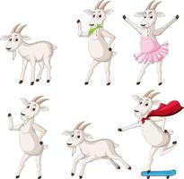 Set of goat in different poses vector