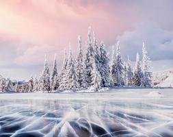 misterioso paisaje invernal majestuosas montañas en invierno. árbol mágico cubierto de nieve de invierno. tarjeta de felicitación con foto. efecto de luz bokeh, filtro suave.
