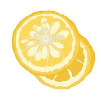 Vector stock illustration of a citron. Yellow sour citron fruit ripe cut into pieces with mint leaves. Lemon, lime, Mandarin, orange, citrus fruit and watercolor greens. Isolated on white background.