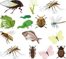 Different kinds of insects and animals on white background vector