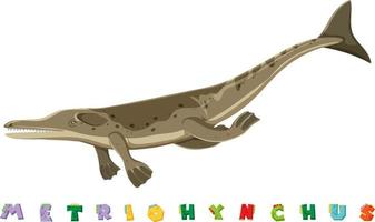 wordcard de dinosaurio para metriohynchus vector