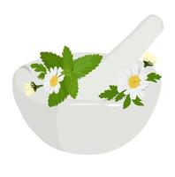 Mortar with herbs vector stock illustration. Meadow flowers chamomile, mint, lemon balm, daisy close-up. Aromatherapy, spa, home cosmetics. Isolated on a white background.