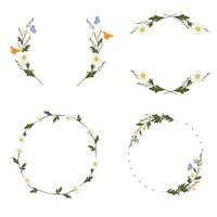 Daisy wreath set vector stock illustration. Chamomile. A vignette of meadow flowers. Design for invitation, wedding or greeting cards. A circle of fresh herbs and leaves. Butterflies. Isolated on a wh