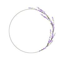 Round frame made of lavender flowers. vector stock illustration. Delicate lilac buds. Purple template for a wedding invitation. Isolated on a white background.