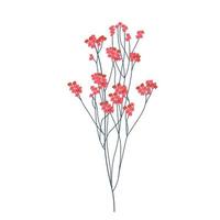 Gypsophila pink vector stock illustration. A branch of dry red flowers. Isolated on a white background.